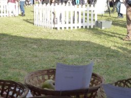 2016_10_02 parc du sausset